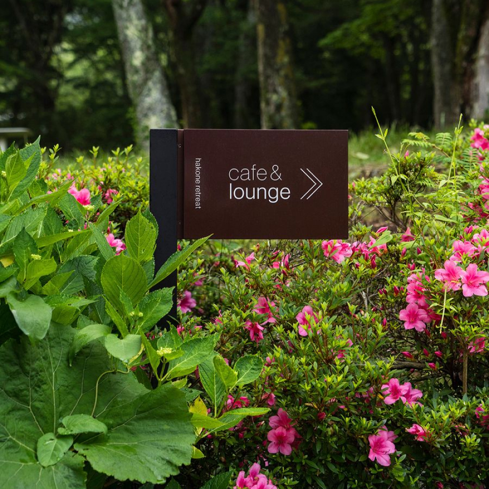 Ứng trong thực tế